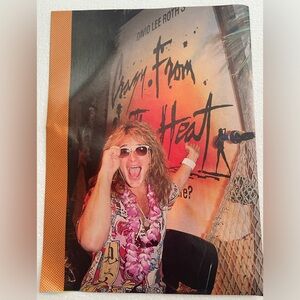 Vintage David Lee Roth Pinup